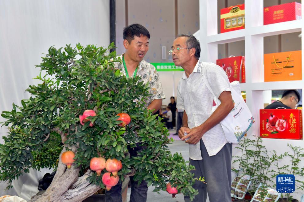 澳门新葡亰总站